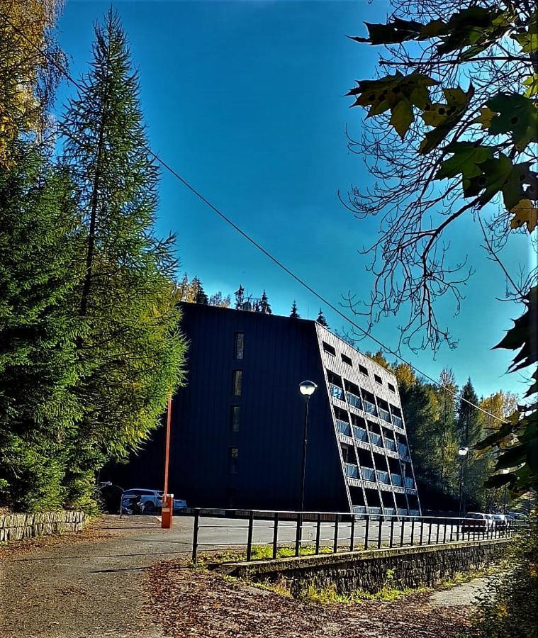 Apartman Na Kraji Lesa Янов над Нисоу Екстериор снимка